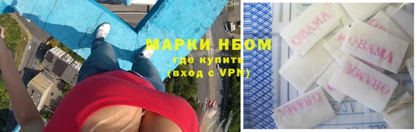 ECSTASY Лагань