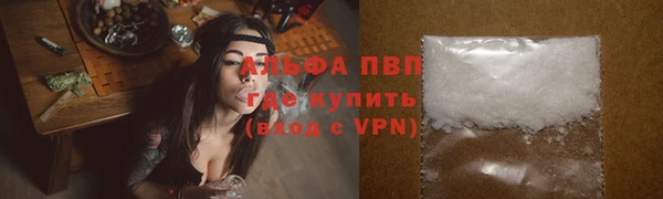 ECSTASY Лагань