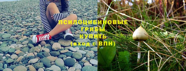 ECSTASY Лагань