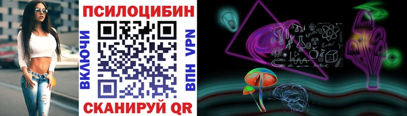 купить наркотики сайты  Медвежьегорск  Псилоцибиновые грибы GOLDEN TEACHER 